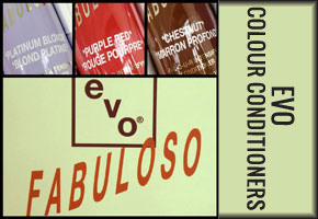 EVO colour conditioner