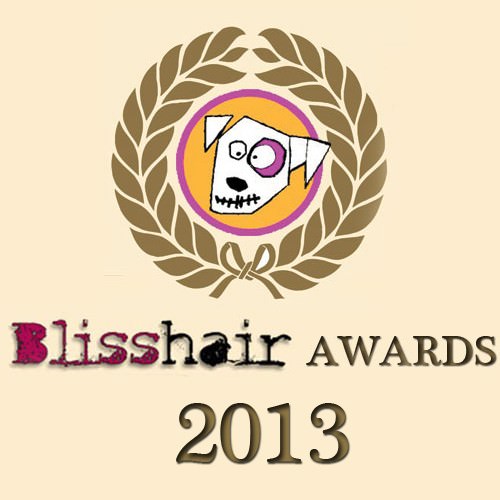 Bliss Award Winners 2013
