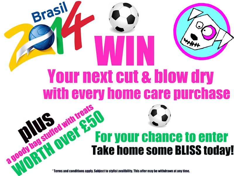 BE A BLISS WORLD CUP WINNER!