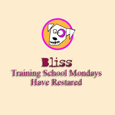BLISS TRAINING SCHOOL MONDAYS HAVE RESTARTED.