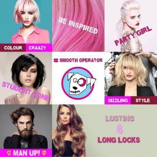 We Have A New Look! We Have A New Look!