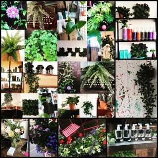 Bliss Hair Salons in Bloom!