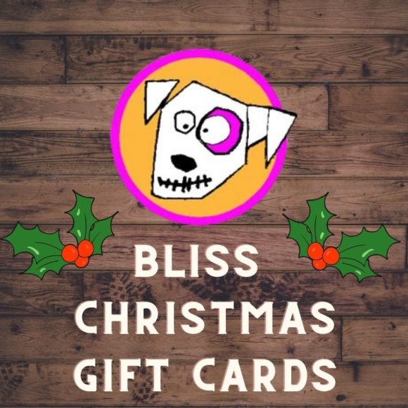 BLISS Hair Salons in Nottingham & Loughborough Christmas Gift Cards