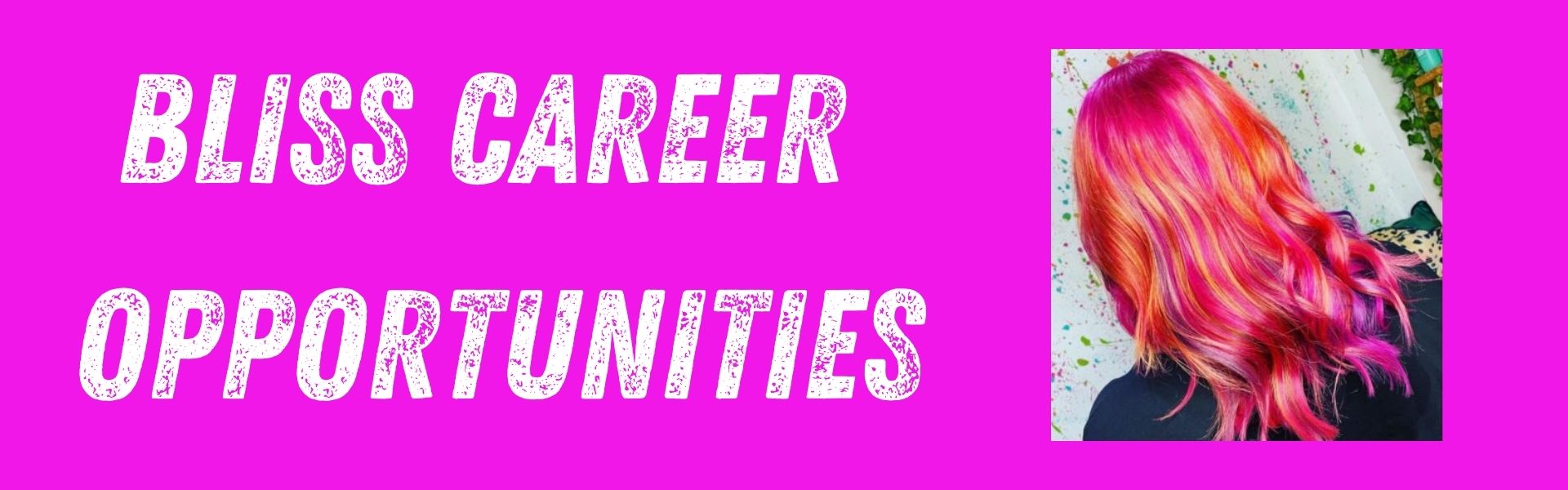 Bliss Career Opportunities