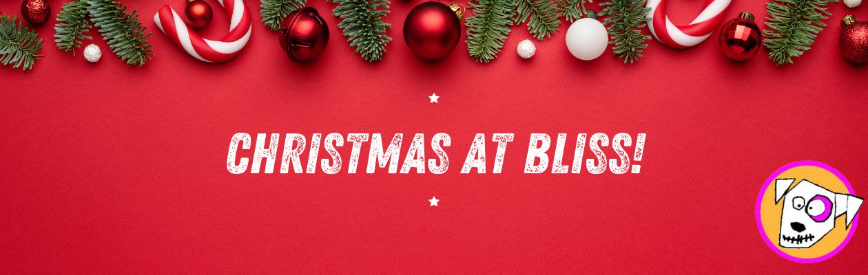 VIVID HAIR COLOUR EXPERTS NOTTINGHAM AND LOUGHBOROUGH